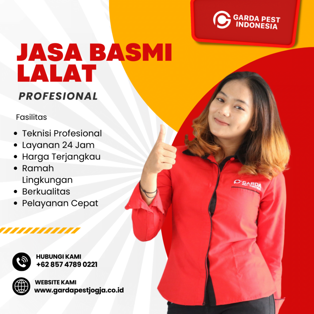 Jasa Pembasmi Lalat di Jogja