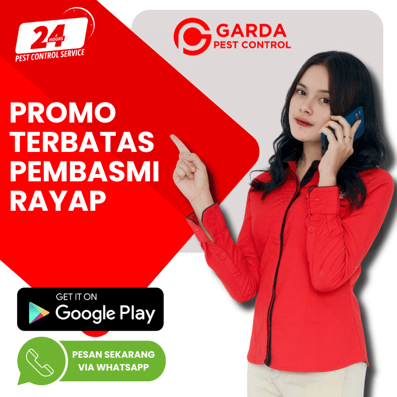 Jasa Anti Rayap Bali Garansi Resmi 3-5 Tahun