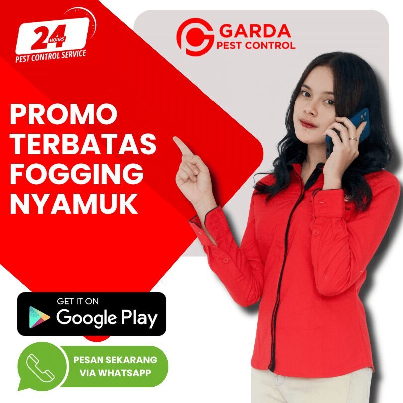 Biaya Fogging 1 RT di Jogja Kota