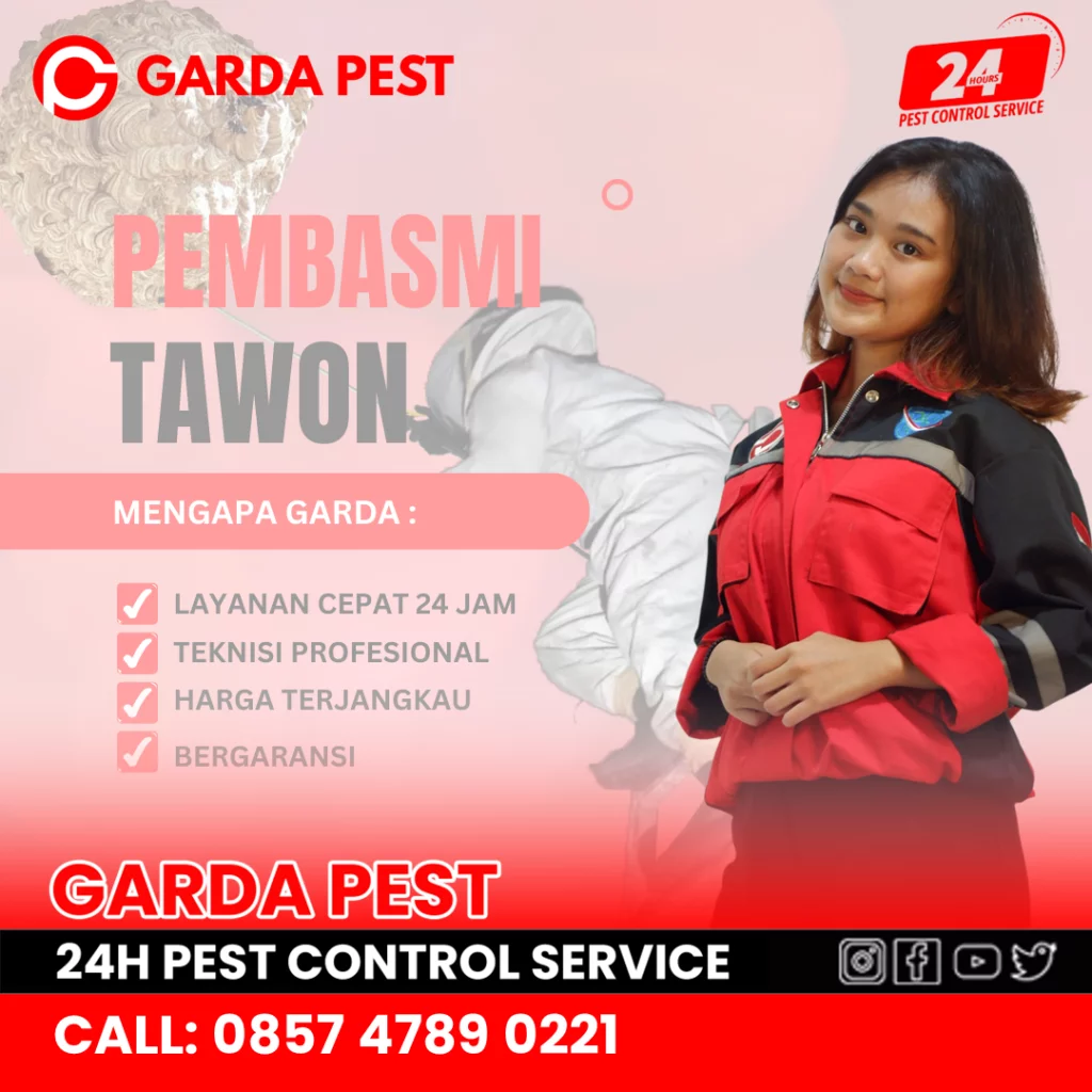 Jasa Pembasmi Tawon Surakarta