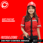 Pembasmi Rayap Jakarta Selatan Pembasmi Rayap Jakarta Selatan