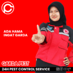 Harga Pest Control Kutu Kucing​