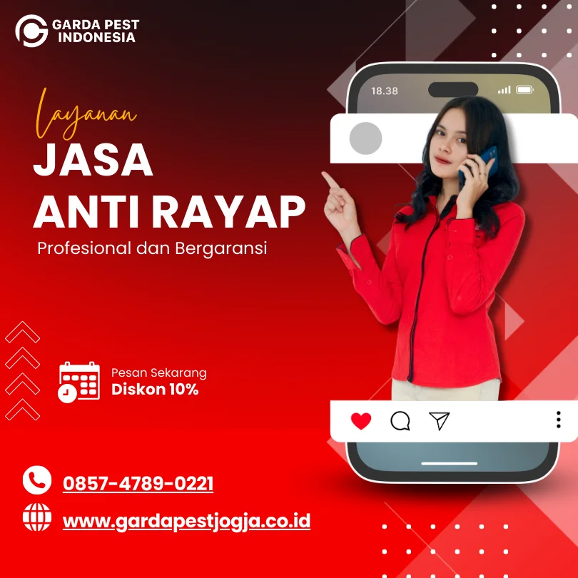 Biaya Basmi Rayap di Jogja