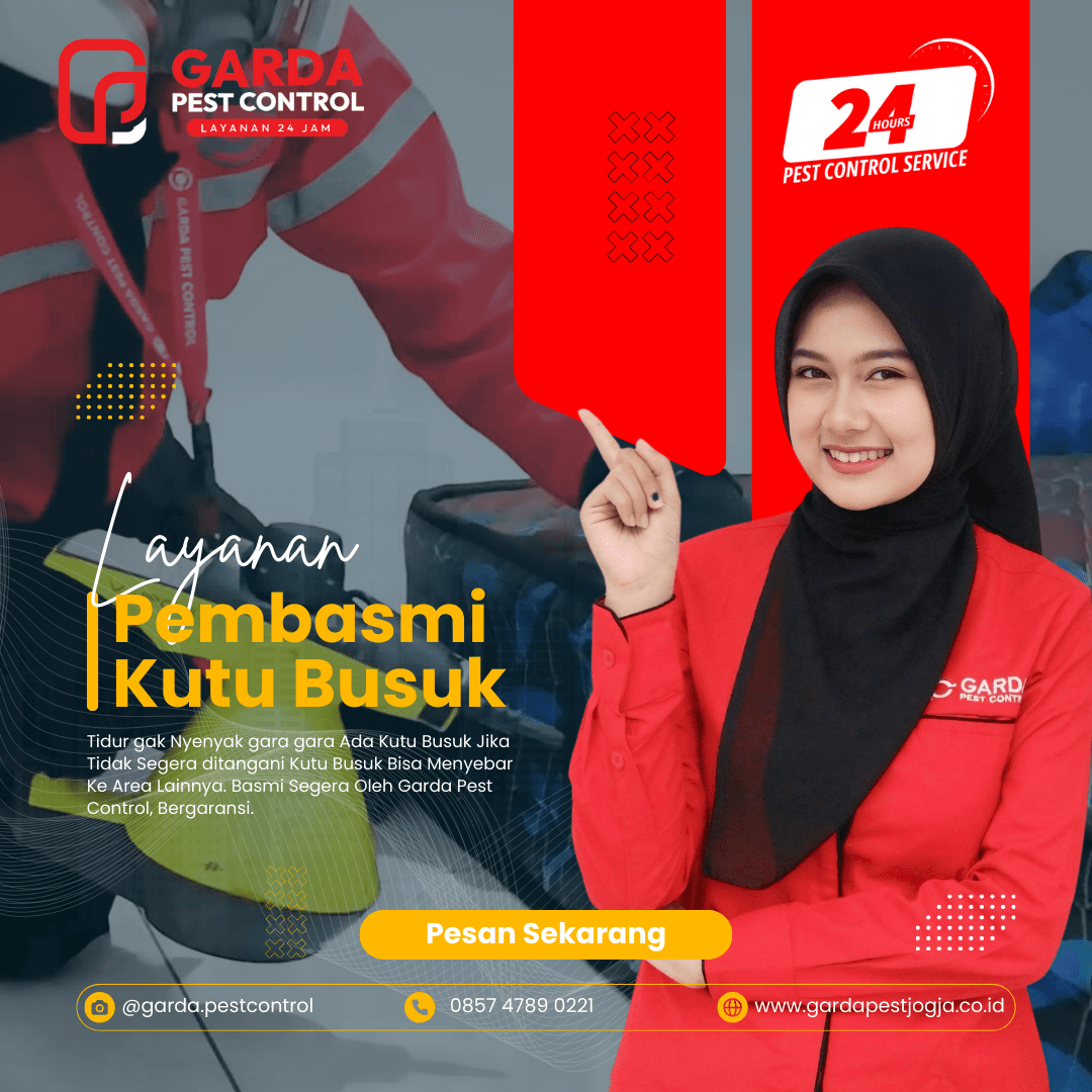 Jasa Pembasmi Kutu Busuk di Jogja Layanan 24 Jam