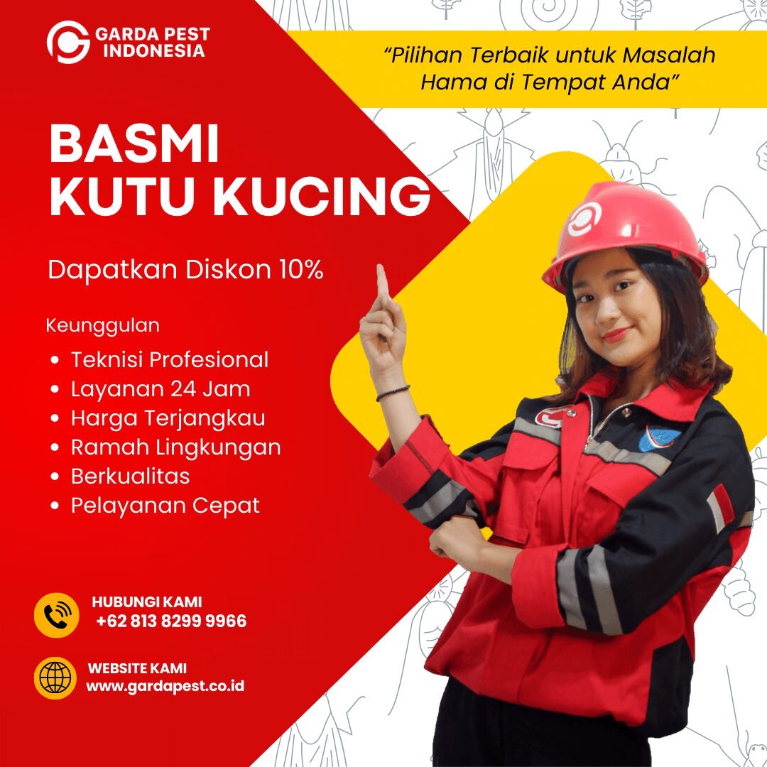 Jasa Semprot Kutu Kucing Jogja Kota
