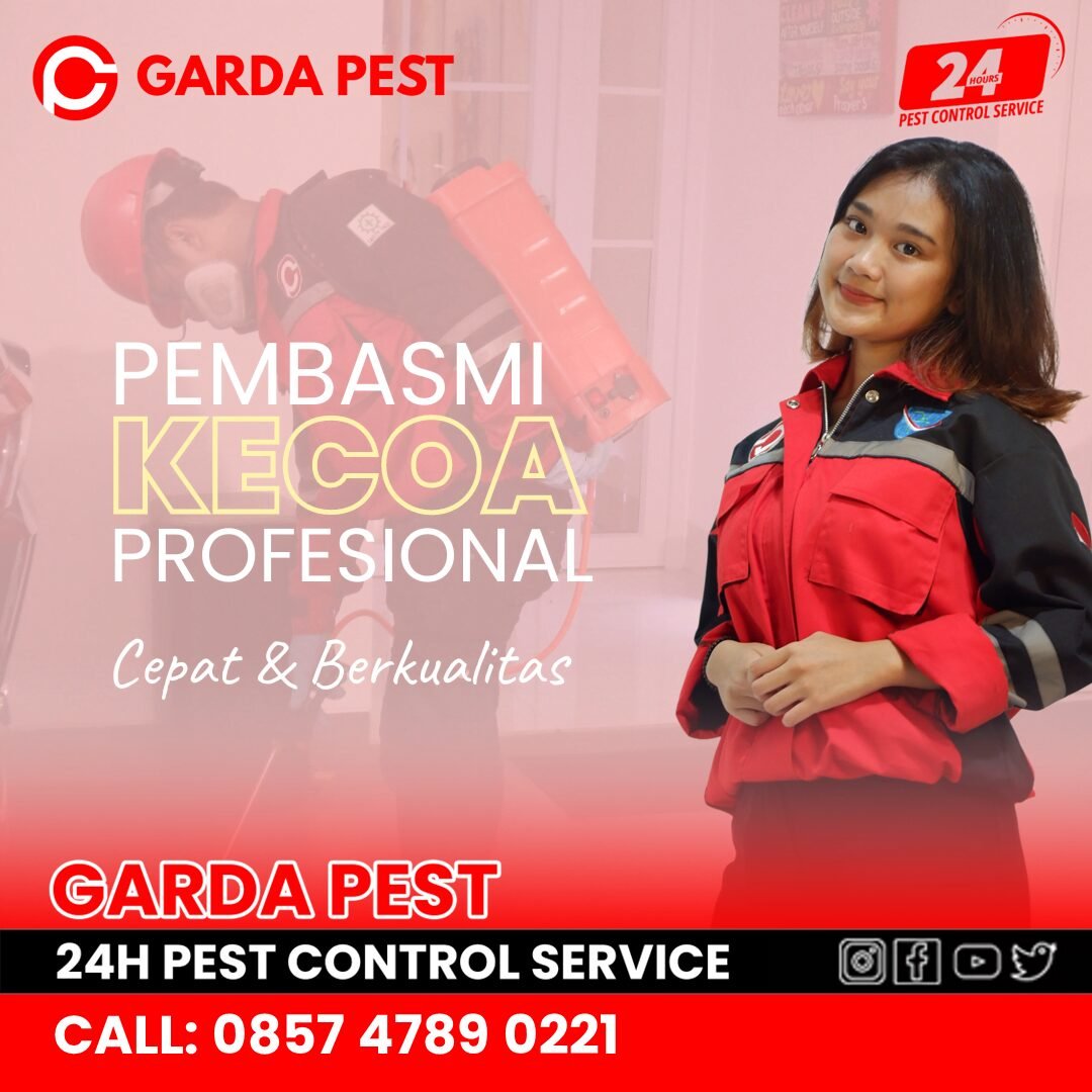 Jasa Pembasmi Kecoa di Apartemen Gondomanan