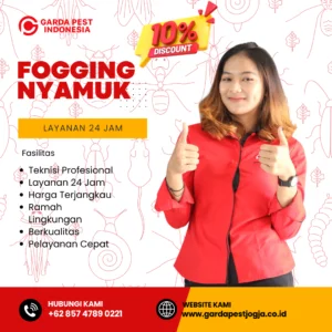 Jasa Fogging Nyamuk di Sleman