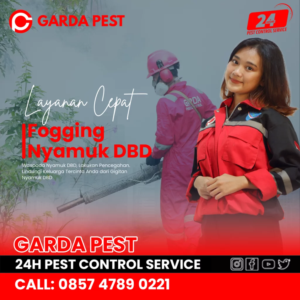 Jasa Fogging Nyamuk Solo Kualitas Pest Control Terbaik