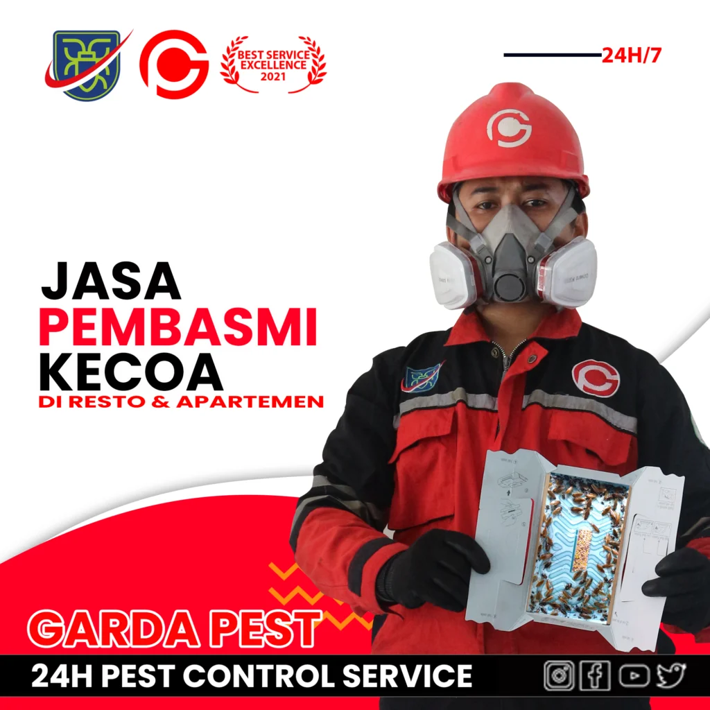 Jasa Pembasmi Kecoa di Kendal Profesional dan Terjangkau
