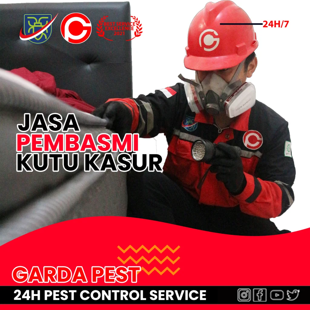 Jasa Pembasmi Kutu Kasur