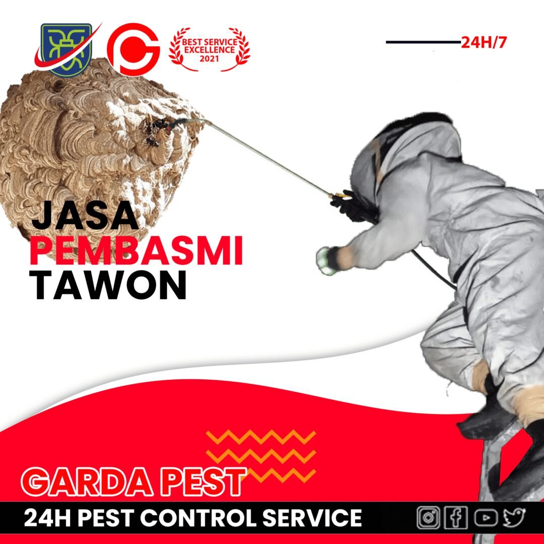 Jasa Pembasmi Sarang Tawon di Jogja