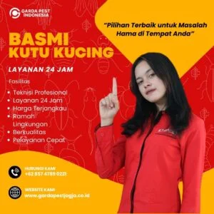 Jasa Pembasmi Kutu Kucing di Yogyakarta