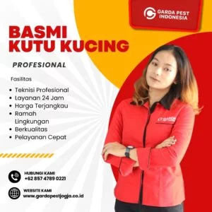 Jasa Fogging Kutu Kucing Jogja