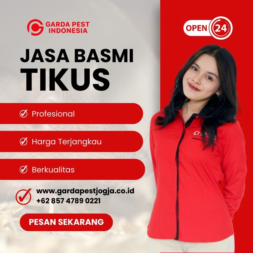 Jasa Mencari Bangkai Tikus Jogja
