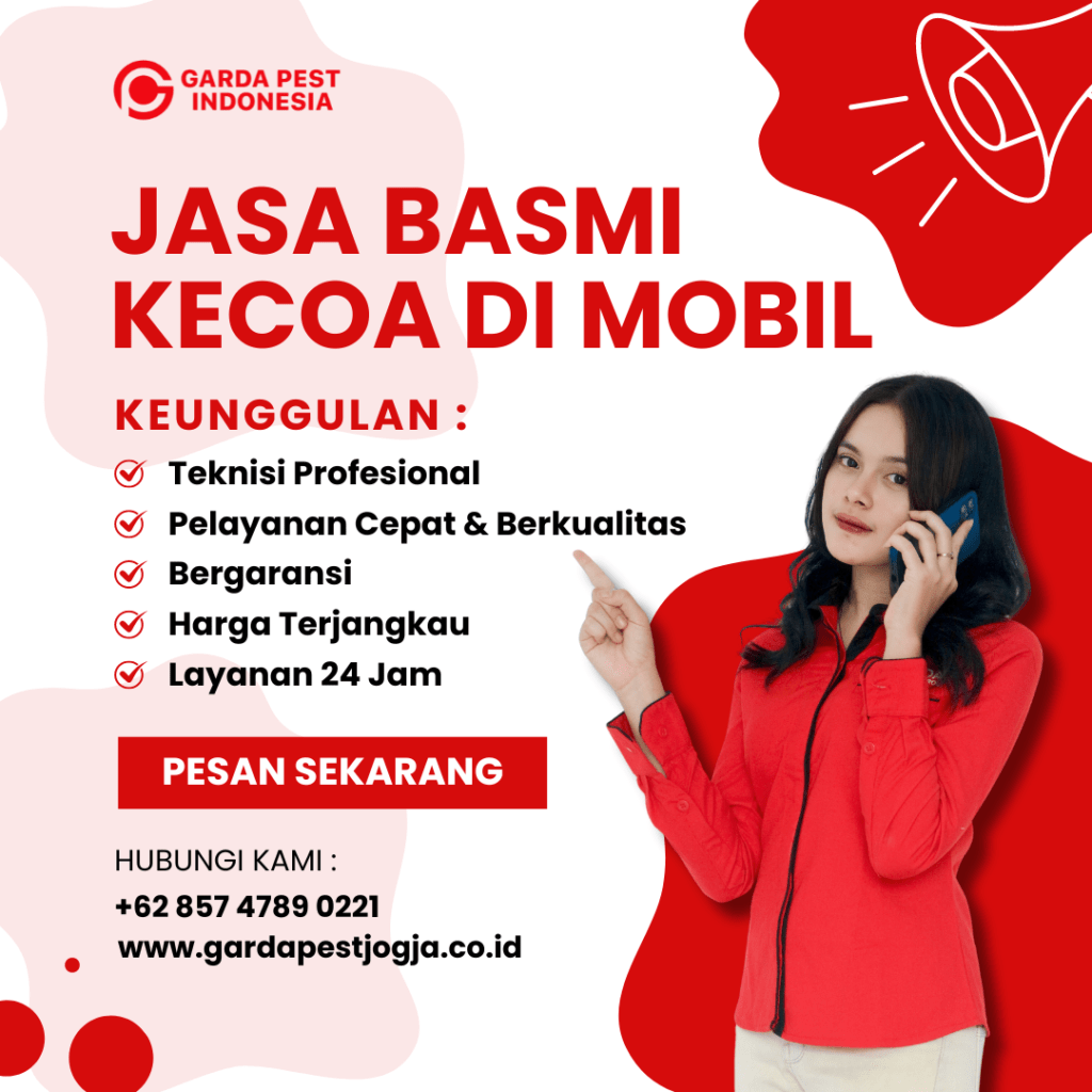 Jasa Pembasmi Kecoa di Yogyakarta untuk Rumah dan Mobil