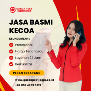 Jasa Pembasmi Kecoa Jogja: Layanan Profesional, Hasil Terjamin