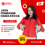Jasa Pembasmi Kecoa di Jogja 24 JAM Jasa Basmi Kecoa Jogja