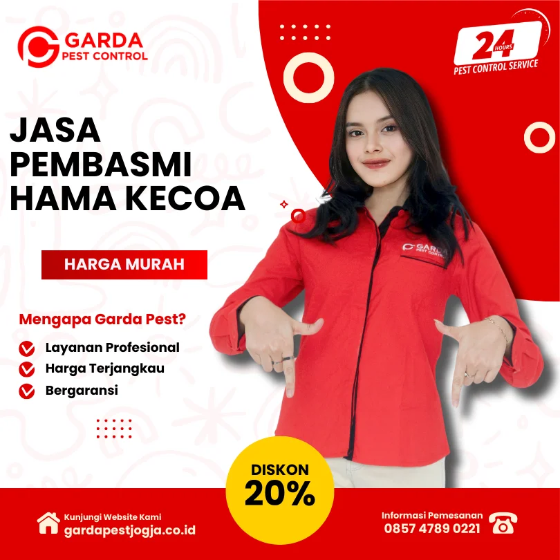 Jasa Pembasmi Kecoa Jogja: Layanan Profesional