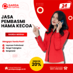 Jasa Pembasmi Kecoa di Rumah Mijen Jasa Pembasmi Kecoa Termurah