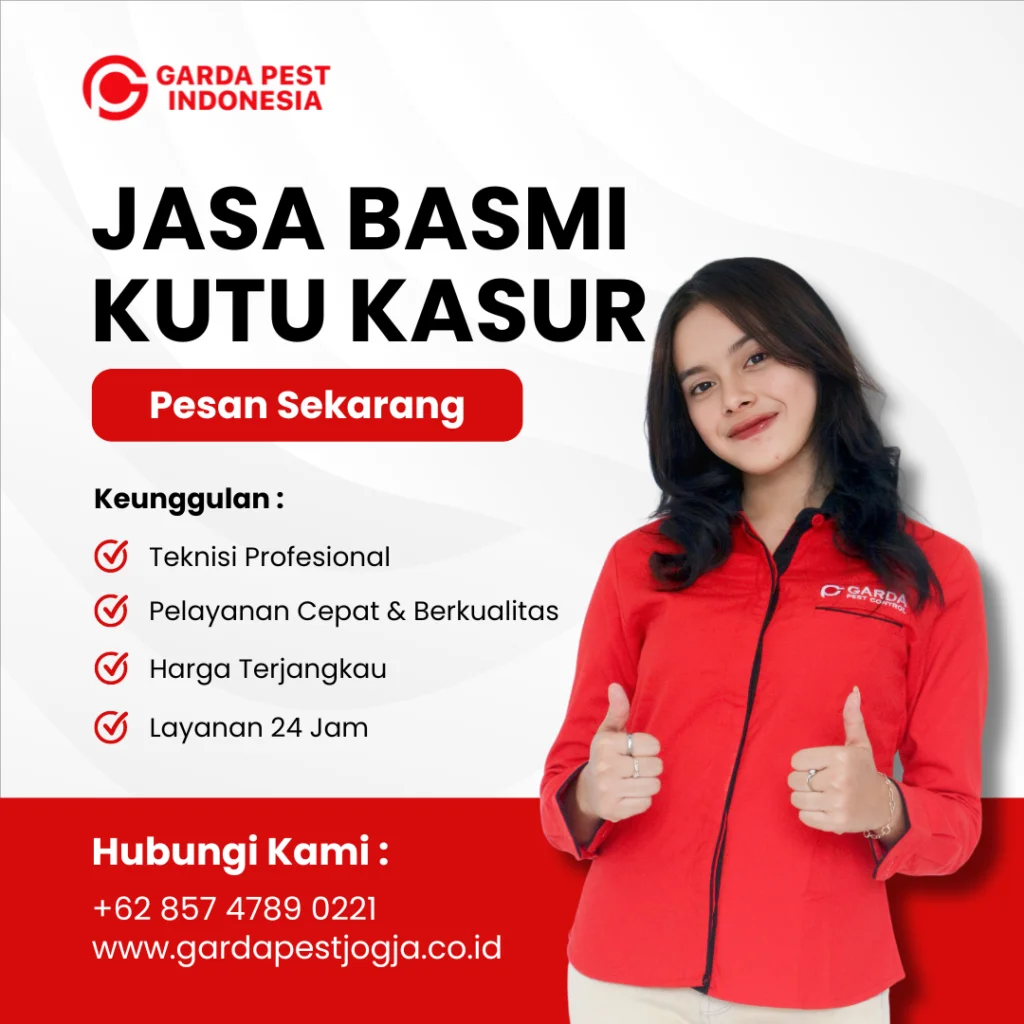 Jasa Pembasmi Kutu Busuk di Sleman Jogja Bergaransi