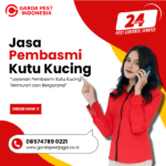 Jasa Pembasmi Kutu Kucing Karawang : Hebat dan Terbaik Jasa Pembasmi Kutu Kucing Terdekat
