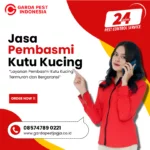 Jasa Pembasmi Kutu Kucing Terdekat