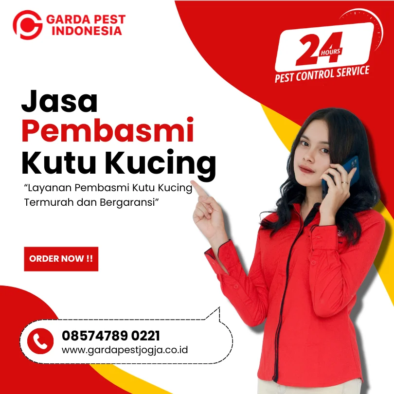 Jasa Pembasmi Kutu Kucing di Sleman
