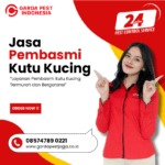 Jasa Pembasmi Kutu Kucing di Jogja Jasa Pembasmi Kutu Kucing di Jogja