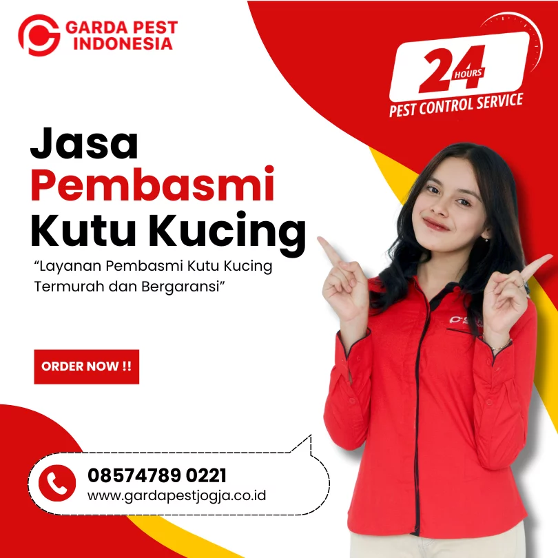 Jasa Pembasmi Kutu Kucing di Jogja Termurah 2026