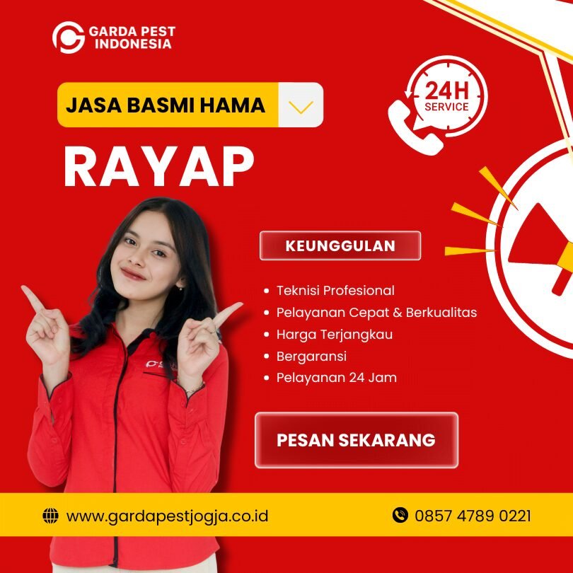 Jasa Anti Rayap di Jogja