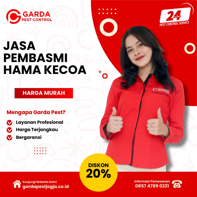Jasa Pembasmi Kecoa di Bantul Berpengalaman Harga Terjangkau