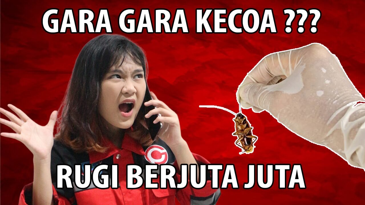Jasa Pembasmi Kecoa di Yogyakarta untuk Rumah dan Mobil