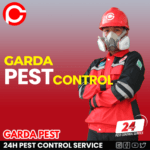 Pest Control Jogja: Garda Pest Control, Siap Melayani Kapanpun Pest Control Terdekat di Jogja