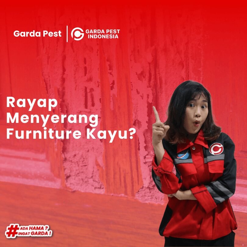 Jasa Pembasmi Rayap Terdekat | Garansi 3-5 Tahun