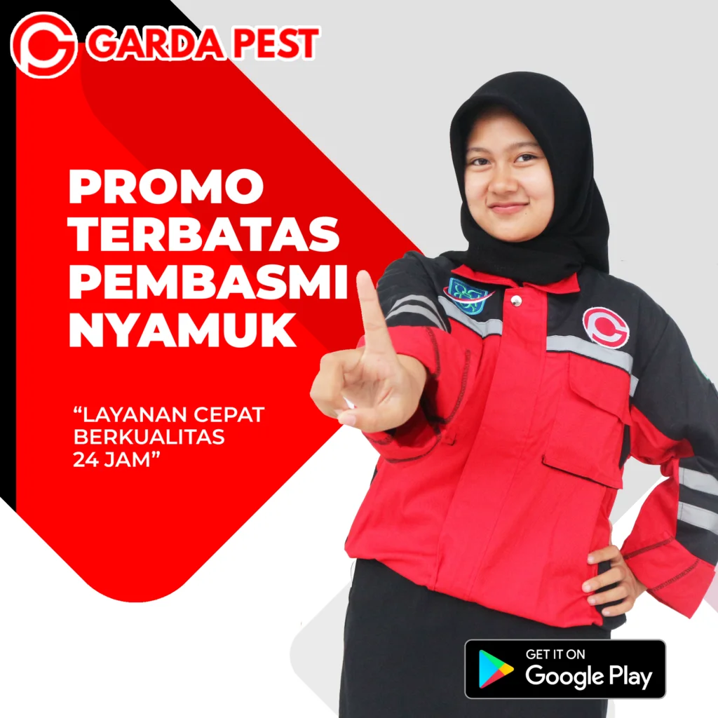 Promo Fogging Nyamuk Cimahi