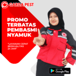 Jasa Fogging Nyamuk Rumah Pribadi Promo Fogging Nyamuk Cimahi