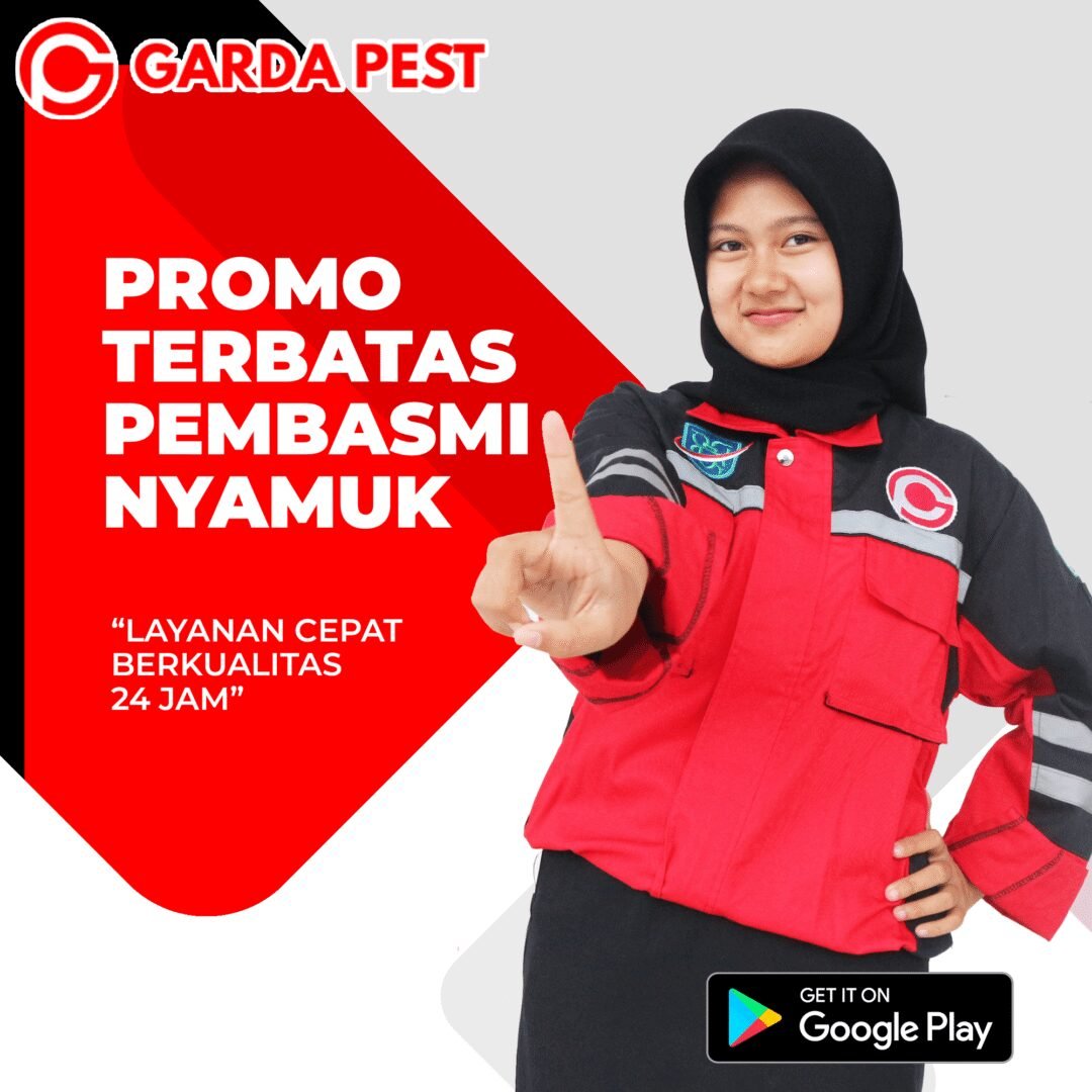 Jasa Fogging Nyamuk Rumah Pribadi