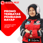 Jasa Anti Rayap Garut Hemat & Efektif Jasa Anti Rayap Garut