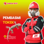 Jasa Pembasmi Tokek Terdekat Jasa Pembasmi Tokek di Jogja