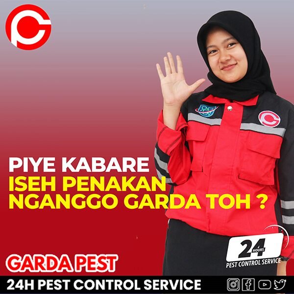 Pembasmi Rayap Terbaik di Jogja
