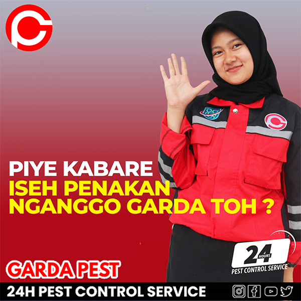 Pembasmi Rayap Terbaik di Jogja