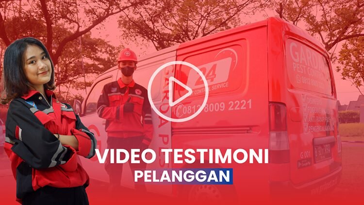 Jasa Pembasmi Ular di Jogja