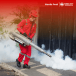 Jasa Fogging Nyamuk Rumah Garut Terbaik Treatment Fogging Nyamuk