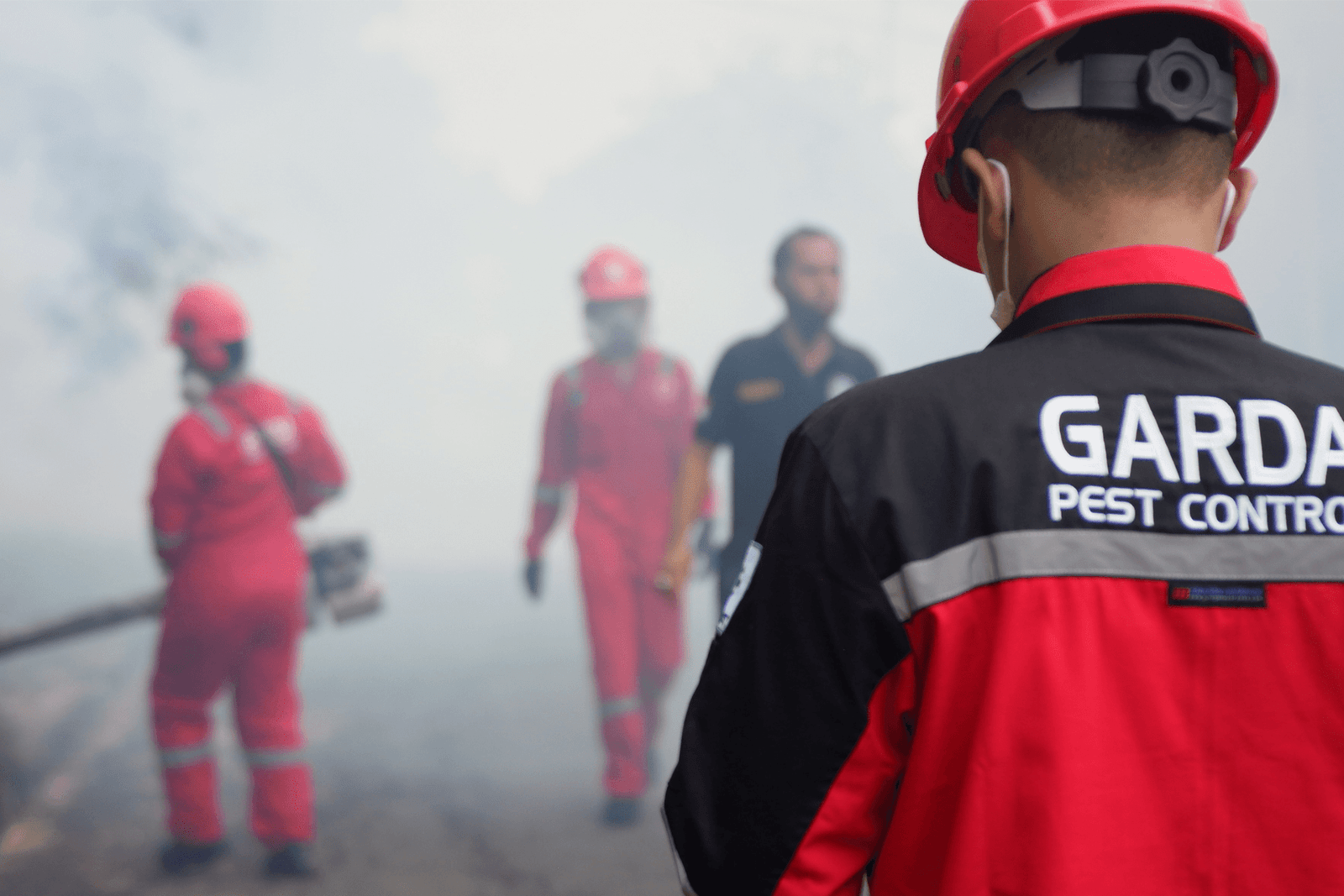 Jasa Fogging Terdekat