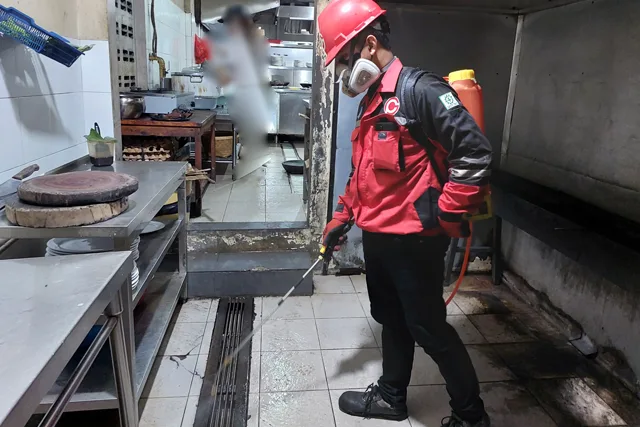 Jasa Pembasmi Kecoa di Jakarta Spesialis Kecoa Kecil Apartemen