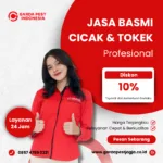 Jasa Pembasmi Cicak Jogja