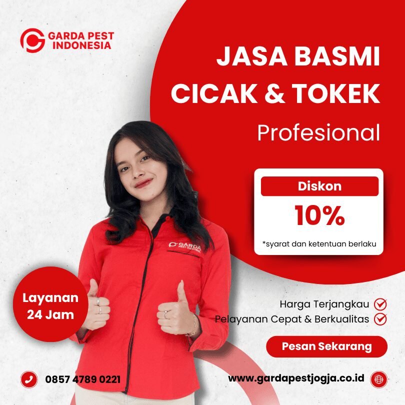 Jasa Pembasmi Cicak Terdekat : Murah Banget