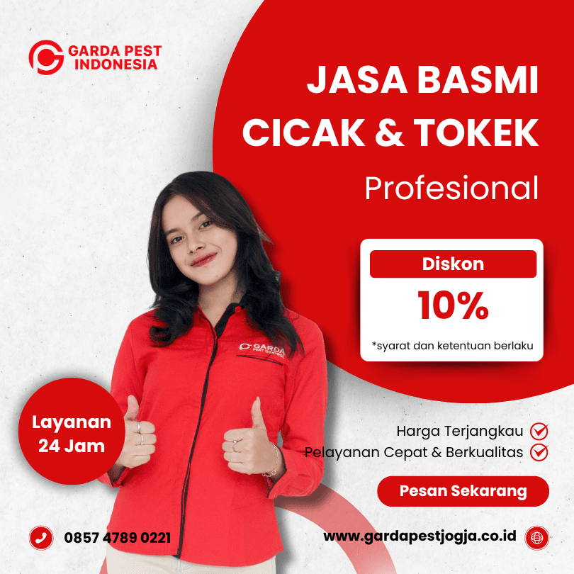 Jasa Pembasmi Cicak Jogja