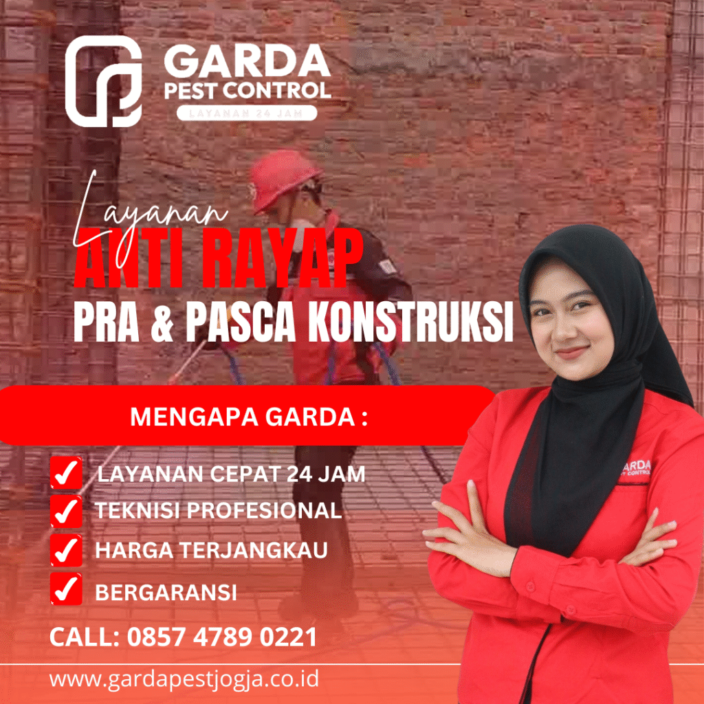 Jasa Anti Rayap di Jogja