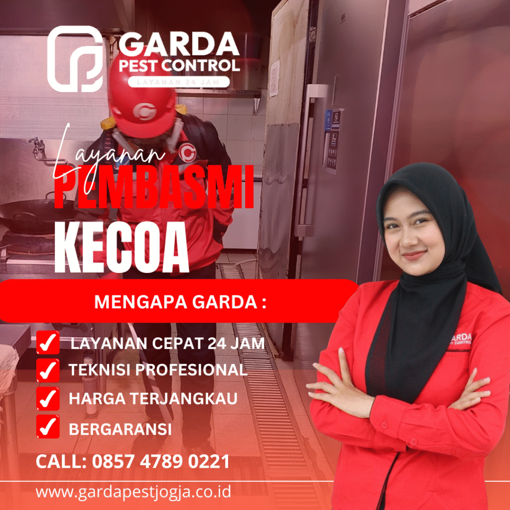 Jasa Pembasmi Kecoa Jogja Cepat Basmi 24 Jam